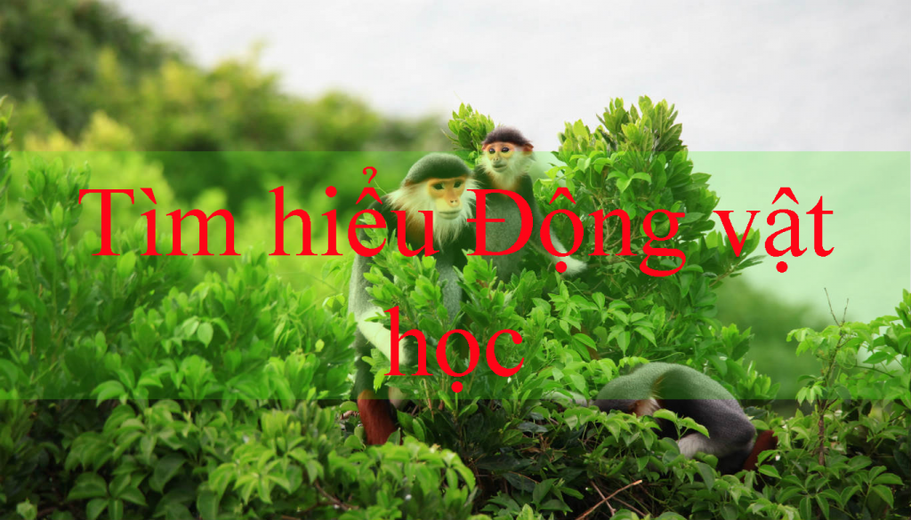 Động vật học